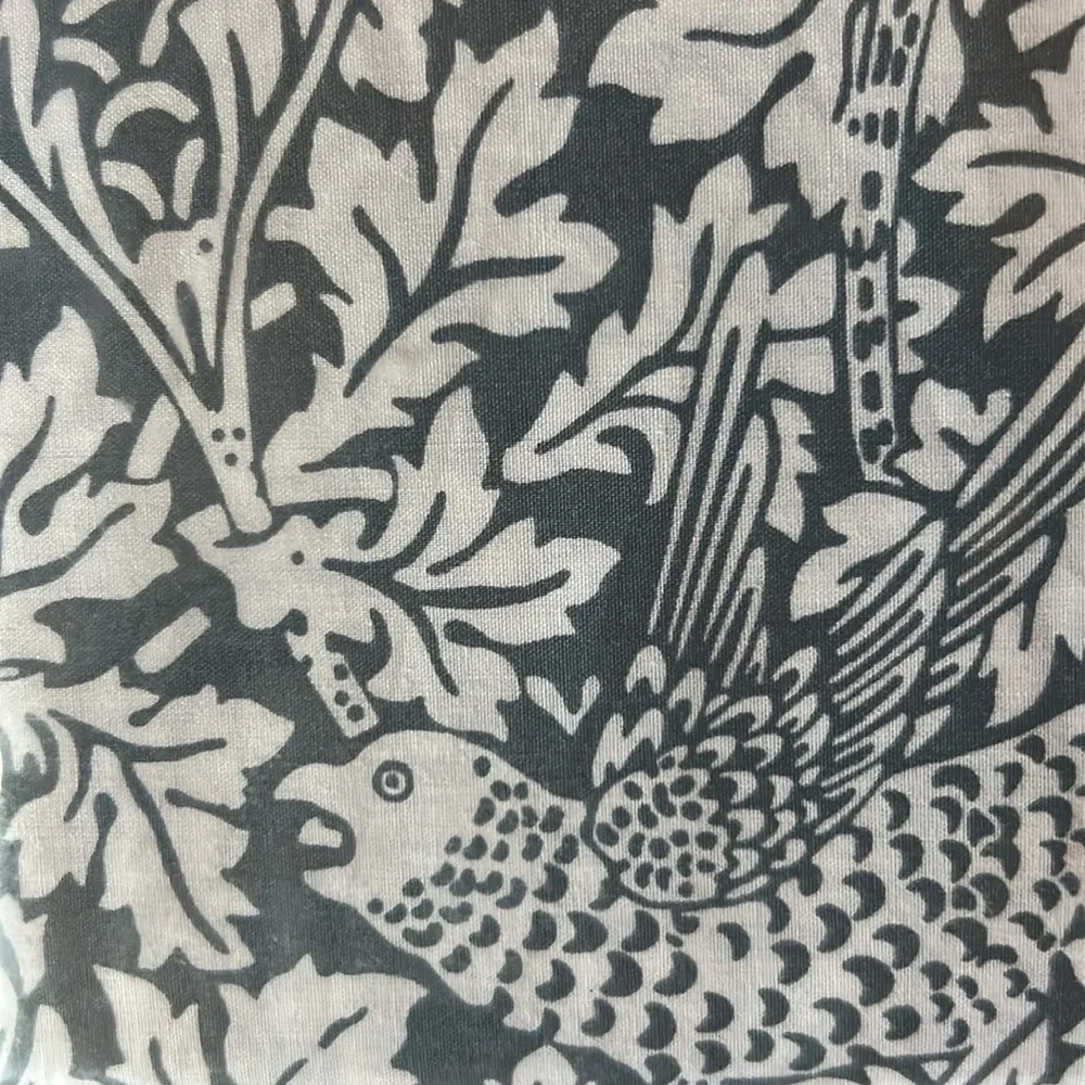 William Morris questions leave